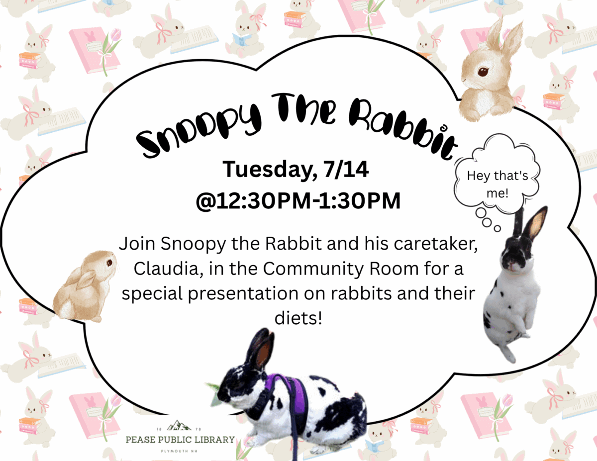 snappy the rabbit